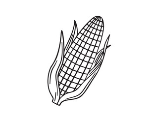 ear of corn doodle hand drawn icon. Outline drawing ear of corn line clipart symbol