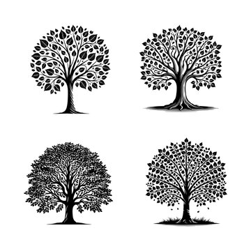 High-Quality Vector Silhouette of a Copper Beech Tree on White Background"
