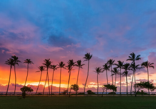 USA, Hawaii, Kauai, Pacific Ocean, Kapa'a Beach Park, palms at sunrise