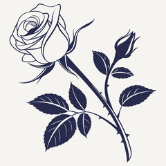 rose with leaves silhouette vector illustration white background.
