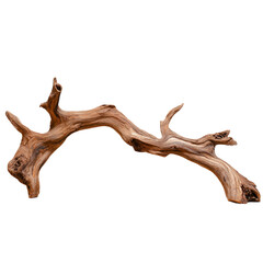 Obraz premium Artistic driftwood sculpture natural environment transparent background rustic decor aesthetic perspective