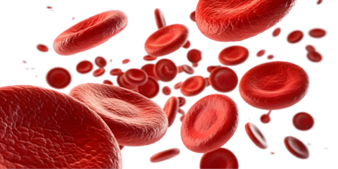 flowing red blood cells isolated on transparent background