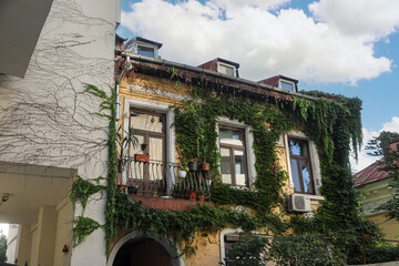 Charming ivy-covered building in Bucharest, Romania, showcasing beautiful architecture and greenery...