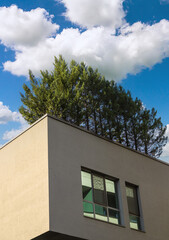 Unique building design features trees on roof against clear blue sky in Bucharest, Romania