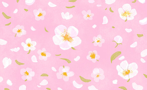 Abstract floral illustration with pink background and white blossoms
