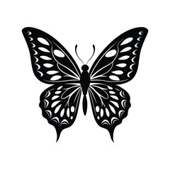 butterfly vector silhouette