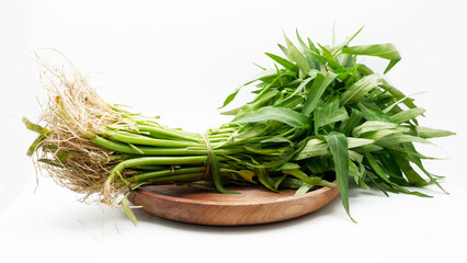 Ipomoea aquatica is one of the most popular leafy vegetables in Southeast Asia