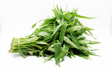 Ipomoea aquatica is one of the most popular leafy vegetables in Southeast Asia