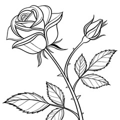 rose with leaves silhouette vector illustration white background.
