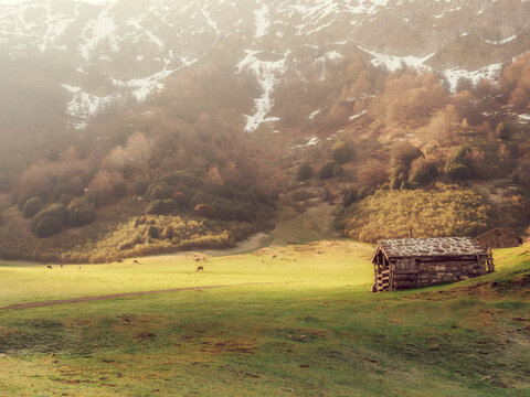 Spain, Asturia, Cantabrian Mountains, Refugio de Branagallones mountain hut