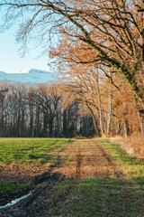 campagne du pays de Gex