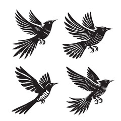 High-Quality Vector Silhouette of a Flying Chestnut-winged Cuckoo on White Background