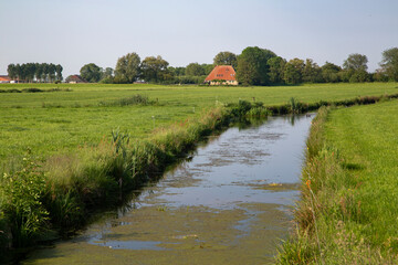 Typical landscape of Dutch province Friesland, with meadows, ditch and farm house