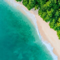 Tropical Beach with Crystal Clear Water and Lush Green Vegetation