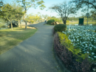 Fototapeta premium Blurred view of a park, pond, trees, cloudless sky and a walkway in the morning