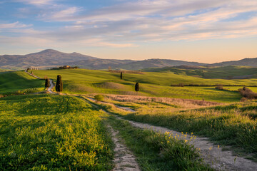 Italy,Tuscany-Val d'Orcia: rolling hills among vineyards and medieval villages