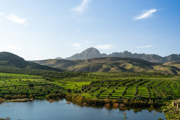 Landscapes around Zaghouan, Tunisia: serene vistas of rolling hills, lush greenery