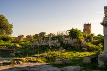 Ruines antiques de Segermes, Tunisie