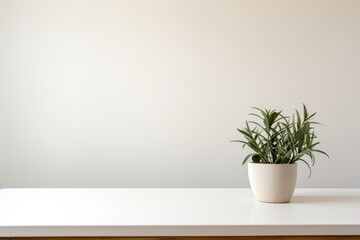 Table windowsill furniture plant.