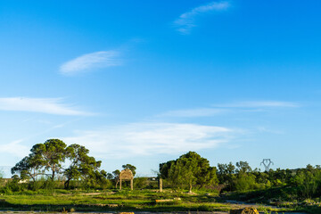 Ruines antiques de Segermes, Tunisie