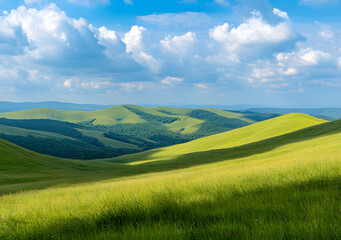 Fototapeta premium Sunny Green Meadow with Rolling Hills and Fluffy Clouds