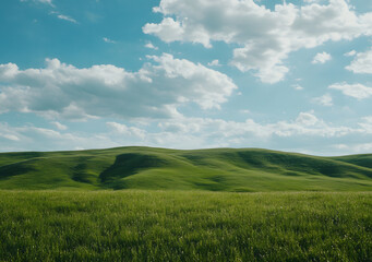 Obraz premium Sunny Green Meadow with Rolling Hills and Fluffy Clouds