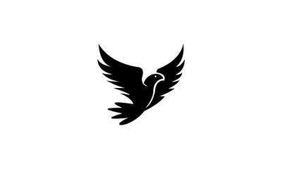 Obraz premium bird logo vector