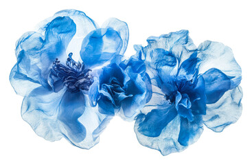 Fototapeta premium PNG Delicate blue fabric flowers arranged elegantly
