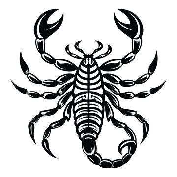 recommend clip art: Scorpion tattoo design, black and white vector illustration of dangerous scorpion symbol with claws and tail