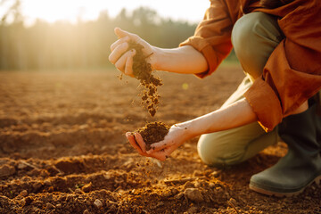 Young female farmer's hands holding soil, earth, black soil earth fertilizers. Gardening and...