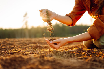 Young female farmer's hands holding soil, earth, black soil earth fertilizers. Gardening and ecology concept.