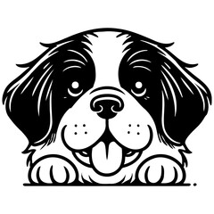 Saint Bernard Dog Illustration.