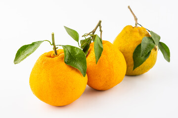 Fresh fruit mandarin oranges on white background