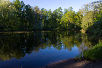 Lake in the park Elagin Island