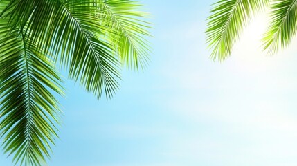 Sunny Tropical Palm Leaves