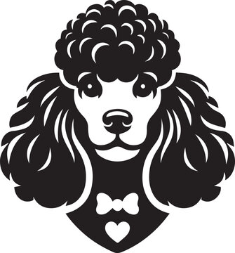 Poodle dog full and half face images vector black and white 