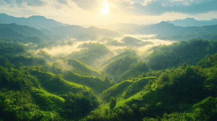 Obraz premium Sunrise Over Misty Mountain Valley