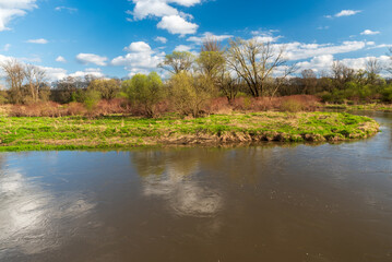Fototapeta premium Odra river meander in early springtime CHKO Poodri in Czech republic