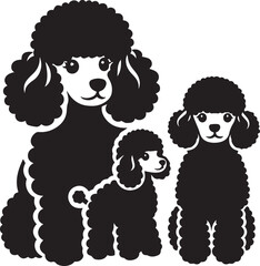Poodle dog full and half face images vector black and white 