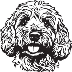 illustration of a cavapoo dog