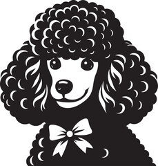 Poodle dog full and half face images vector black and white 