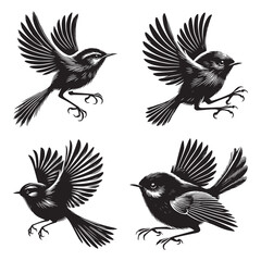 High-Quality Vector Silhouette of a Fairy Wren on White Background