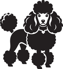 Poodle dog full and half face images vector black and white 