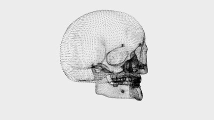 A side-profile view of a human skull crafted from fine black dots on a white background, showcasing an artistic, futuristic, and minimalist wireframe design ideal for anatomy or tech visuals