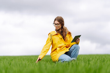Woman Farmer on a green wheat field use agricultural technology in data analysis tablets. Smart...