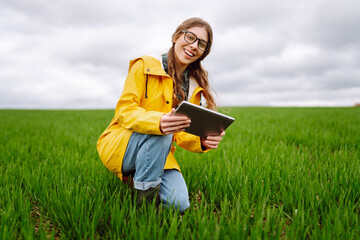 Woman Farmer on a green wheat field use agricultural technology in data analysis tablets. Smart...