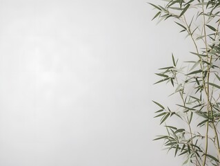 Fototapeta premium bamboo leaves on bamboo background
