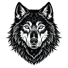  wolf Black and white vector illustration animal silhouette 