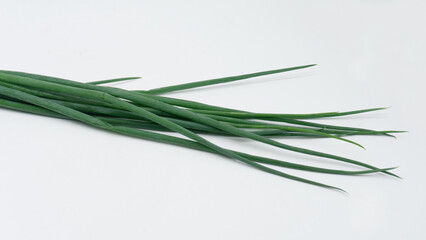 fresh leek or daun bawang on a white background
