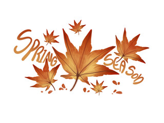 First Day of Spring with Blooming Flowers and Fresh Scenery in Soft Sunshine